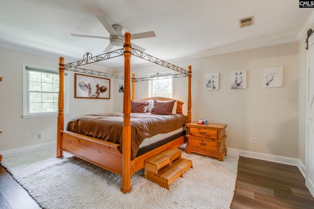 445 Lakemont Drive, Chapin, SC 29036