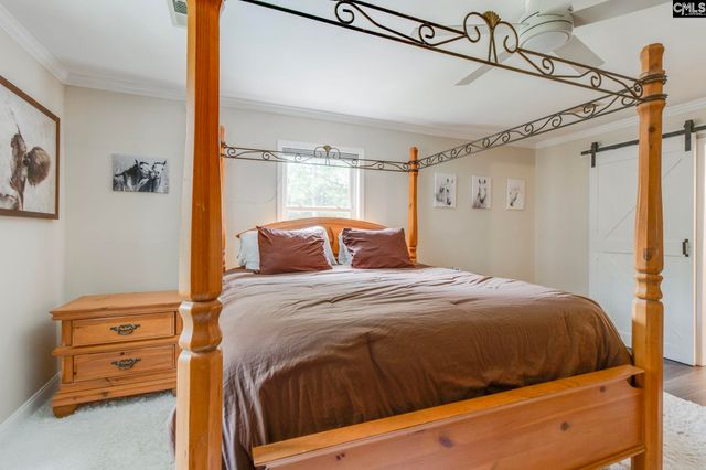 445 Lakemont Drive, Chapin, SC 29036