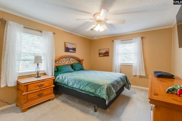 445 Lakemont Drive, Chapin, SC 29036