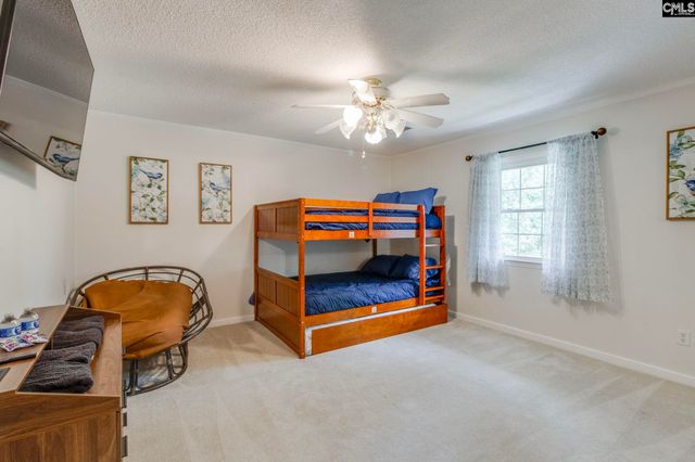 445 Lakemont Drive, Chapin, SC 29036