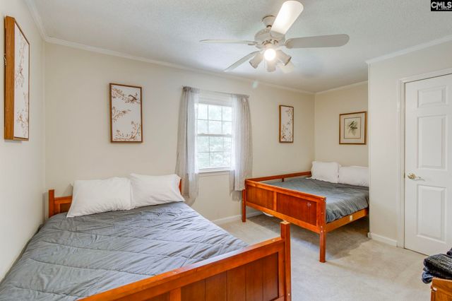 445 Lakemont Drive, Chapin, SC 29036
