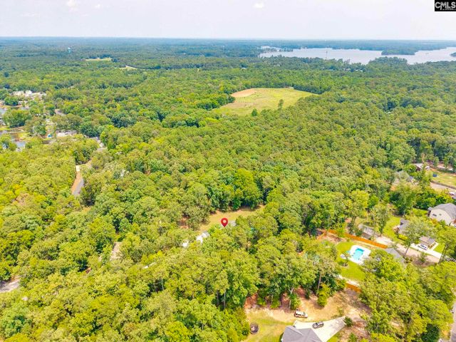 445 Lakemont Drive, Chapin, SC 29036