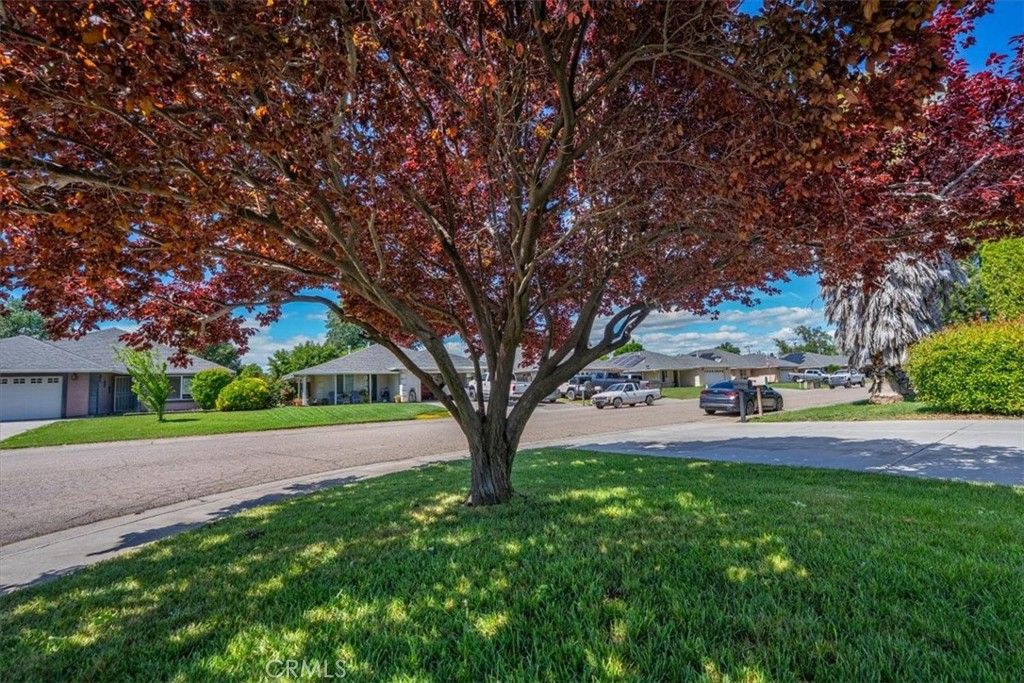 Image 57 of property listing at 245 Shelley Way, Red Bluff, CA 96080