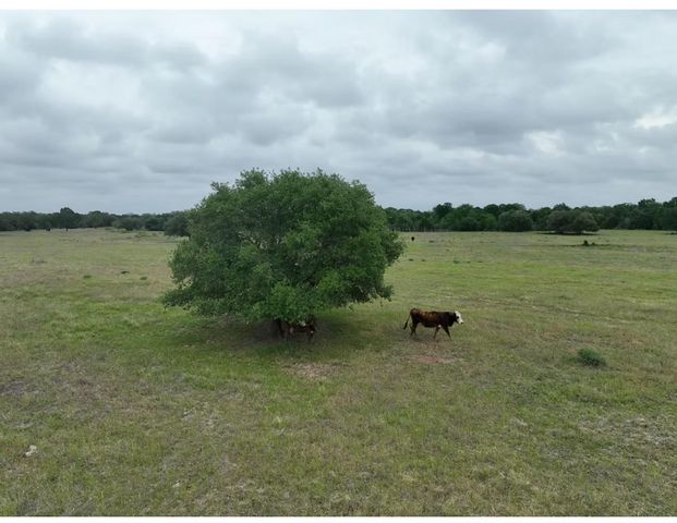 Lot 4 TBD 4 County Road 127 Road, Ledbetter, TX 78946
