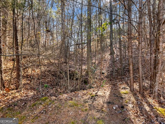 6377 Barker Station Walk, Sugar Hill, GA 30518