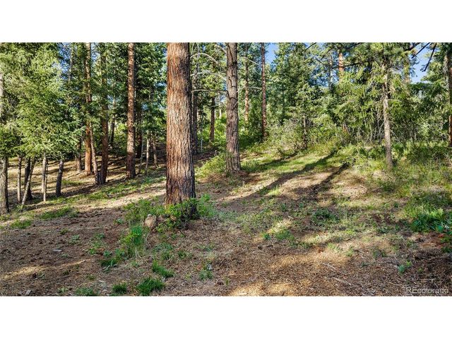 8125 Bannock Dr, Larkspur, CO 80118