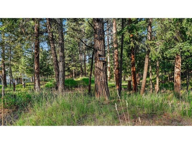 8125 Bannock Dr, Larkspur, CO 80118