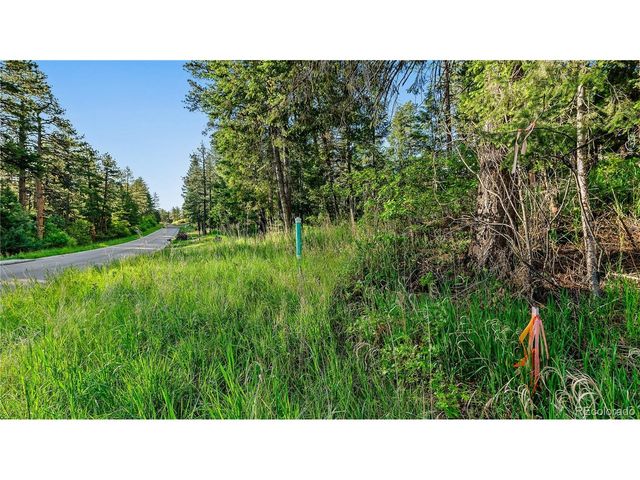 8125 Bannock Dr, Larkspur, CO 80118