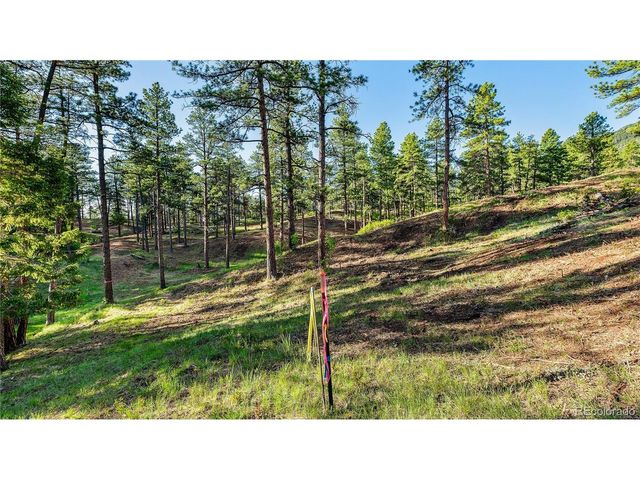 8125 Bannock Dr, Larkspur, CO 80118