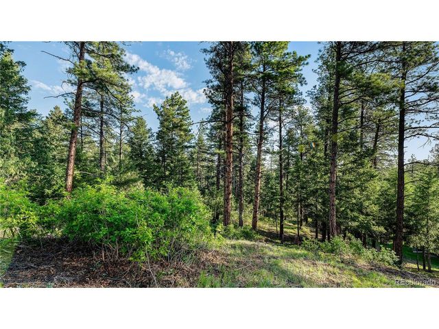 8125 Bannock Dr, Larkspur, CO 80118