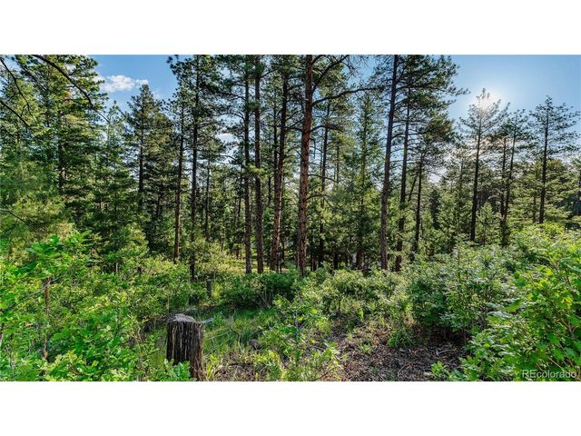 8125 Bannock Dr, Larkspur, CO 80118