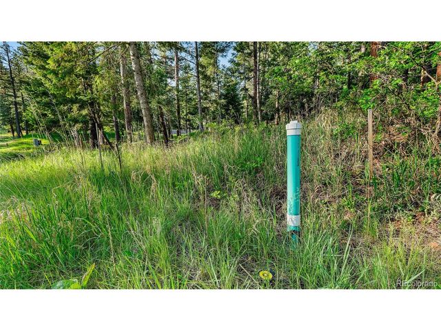 8125 Bannock Dr, Larkspur, CO 80118