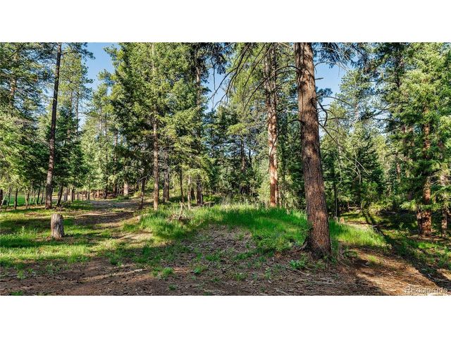 8125 Bannock Dr, Larkspur, CO 80118