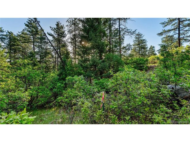 8125 Bannock Dr, Larkspur, CO 80118
