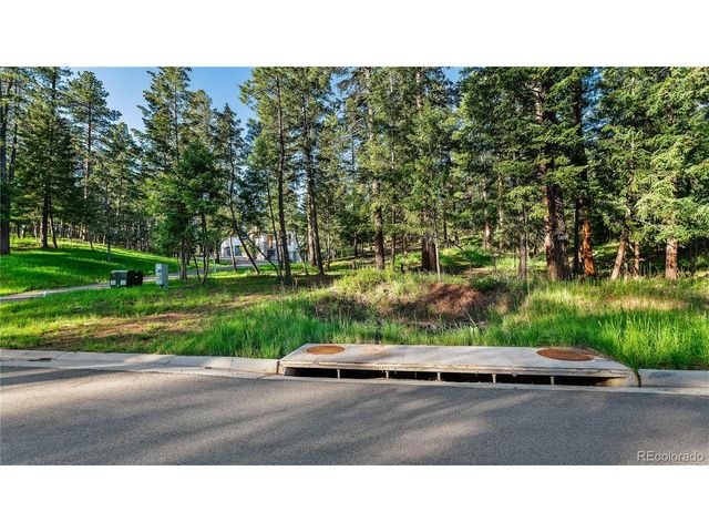 8125 Bannock Dr, Larkspur, CO 80118