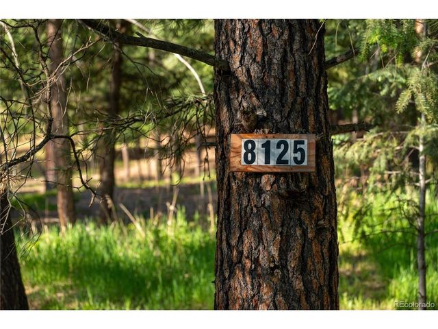 8125 Bannock Dr, Larkspur, CO 80118