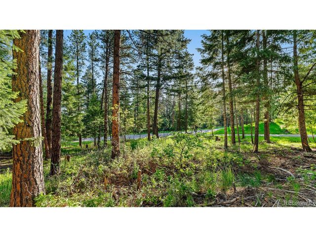 8125 Bannock Dr, Larkspur, CO 80118