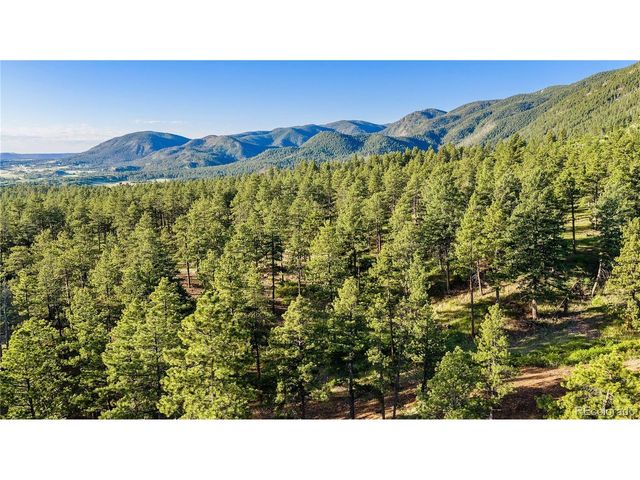 8125 Bannock Dr, Larkspur, CO 80118