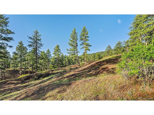 8125 Bannock Dr, Larkspur, CO 80118