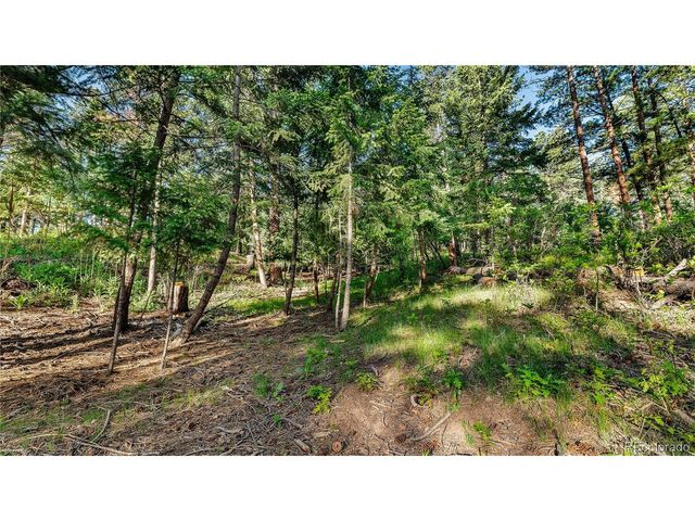 8125 Bannock Dr, Larkspur, CO 80118