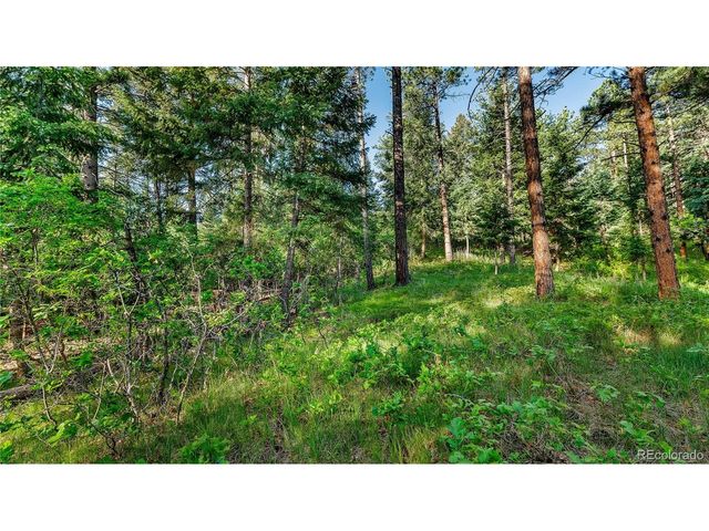 8125 Bannock Dr, Larkspur, CO 80118