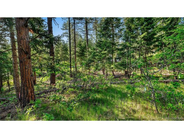 8125 Bannock Dr, Larkspur, CO 80118
