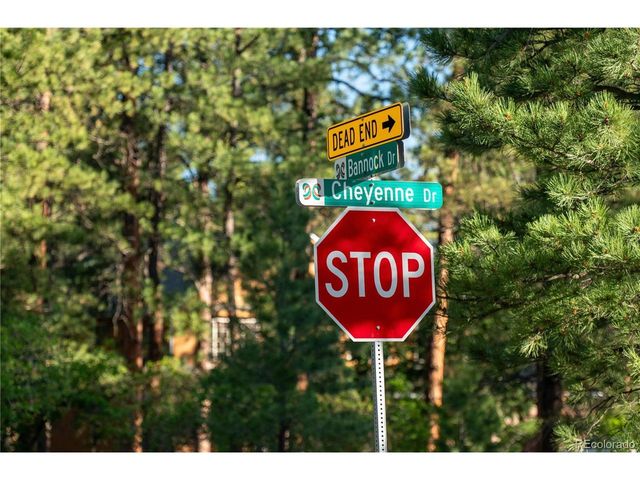8125 Bannock Dr, Larkspur, CO 80118
