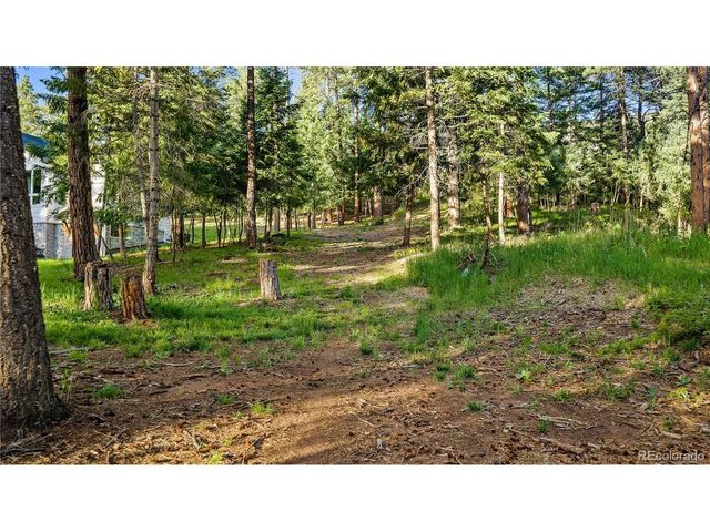 8125 Bannock Dr, Larkspur, CO 80118