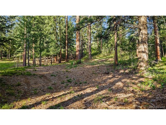 8125 Bannock Dr, Larkspur, CO 80118