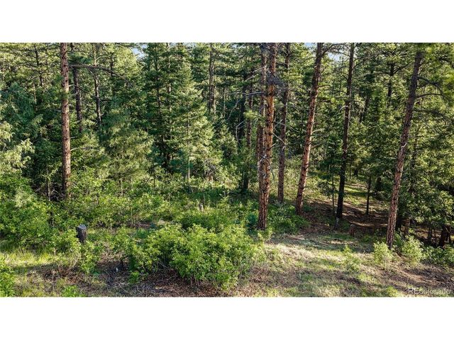 8125 Bannock Dr, Larkspur, CO 80118