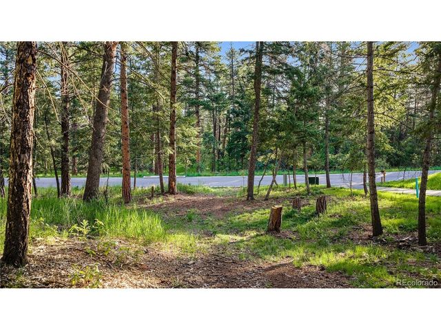 8125 Bannock Dr, Larkspur, CO 80118