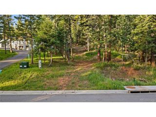 8125 Bannock Dr, Larkspur, CO 80118