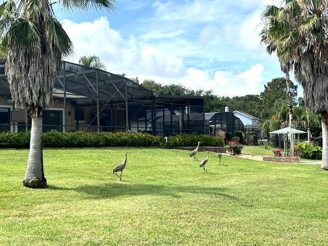 11325 PRESTON COVE ROAD, Clermont, FL 34711