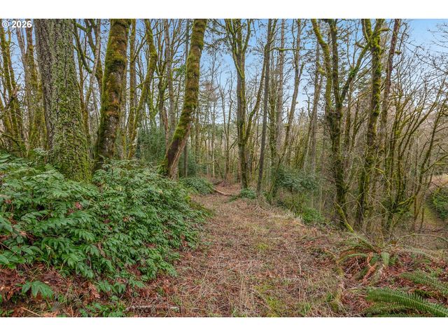 0 Nw SUMMITVIEW Dr, Portland, OR 97229