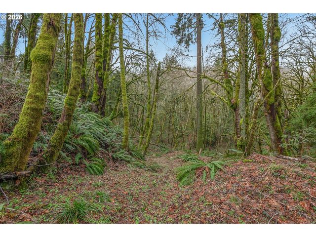 0 Nw SUMMITVIEW Dr, Portland, OR 97229