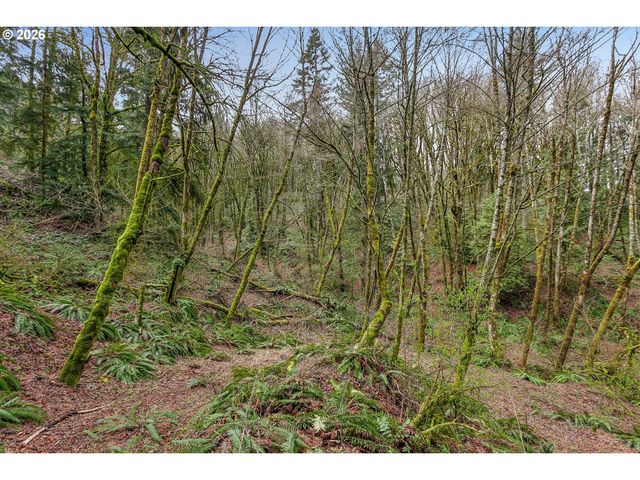 0 Nw SUMMITVIEW Dr, Portland, OR 97229