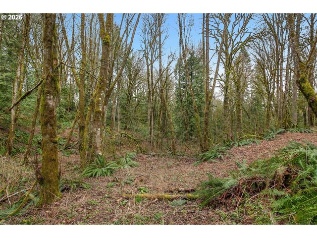 0 Nw SUMMITVIEW Dr, Portland, OR 97229