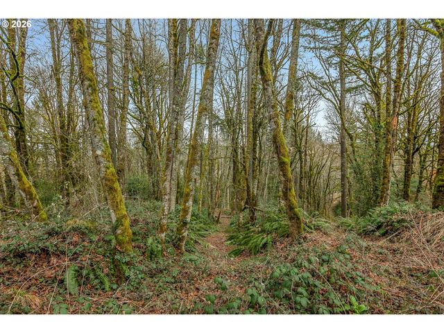 0 Nw SUMMITVIEW Dr, Portland, OR 97229