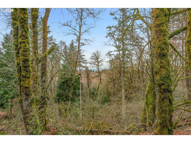 0 Nw SUMMITVIEW Dr, Portland, OR 97229