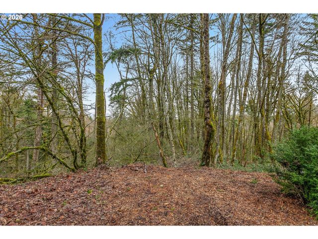 0 Nw SUMMITVIEW Dr, Portland, OR 97229