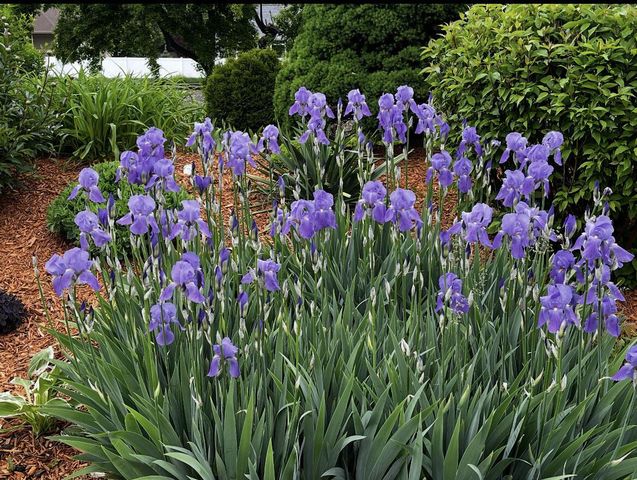 N29W22090 Kathryn COURT, Waukesha, WI 53186