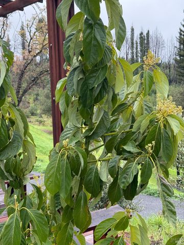 9451 Mill Creek Rd, Healdsburg, CA 95448