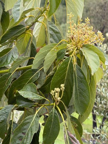 9451 Mill Creek Rd, Healdsburg, CA 95448