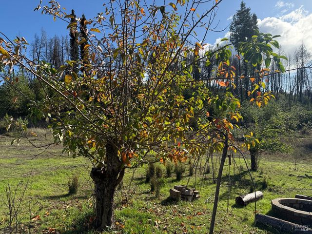 9451 Mill Creek Rd, Healdsburg, CA 95448