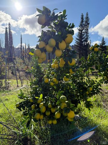 9451 Mill Creek Rd, Healdsburg, CA 95448