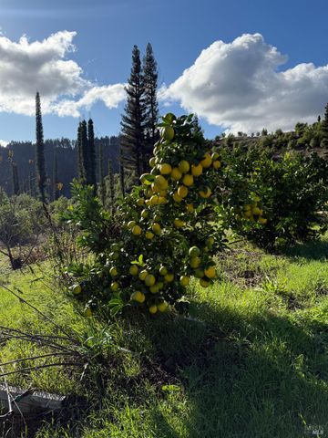 9451 Mill Creek Rd, Healdsburg, CA 95448