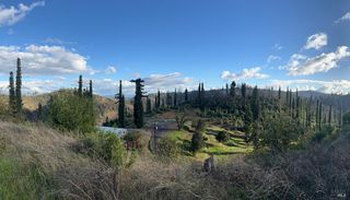 9451 Mill Creek Rd, Healdsburg, CA 95448