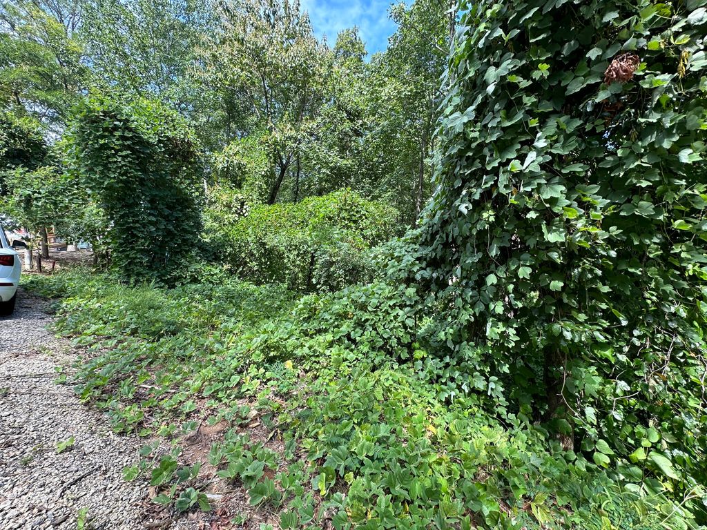 0 King Mtn Drive, Clayton, GA 30525 — photo 2