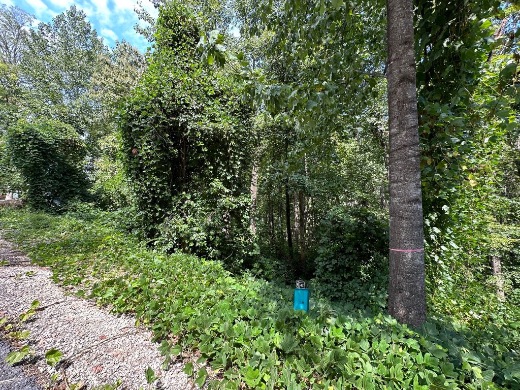 0 King Mtn Drive, Clayton, GA 30525 — photo 3