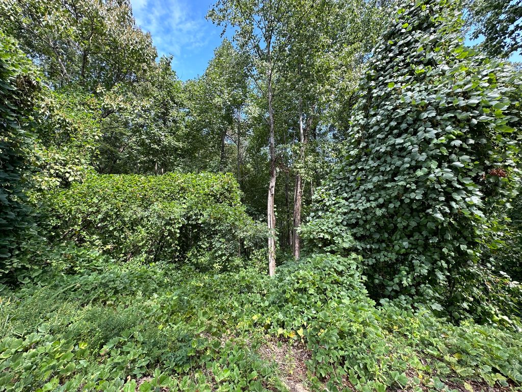 0 King Mtn Drive, Clayton, GA 30525 — photo 4